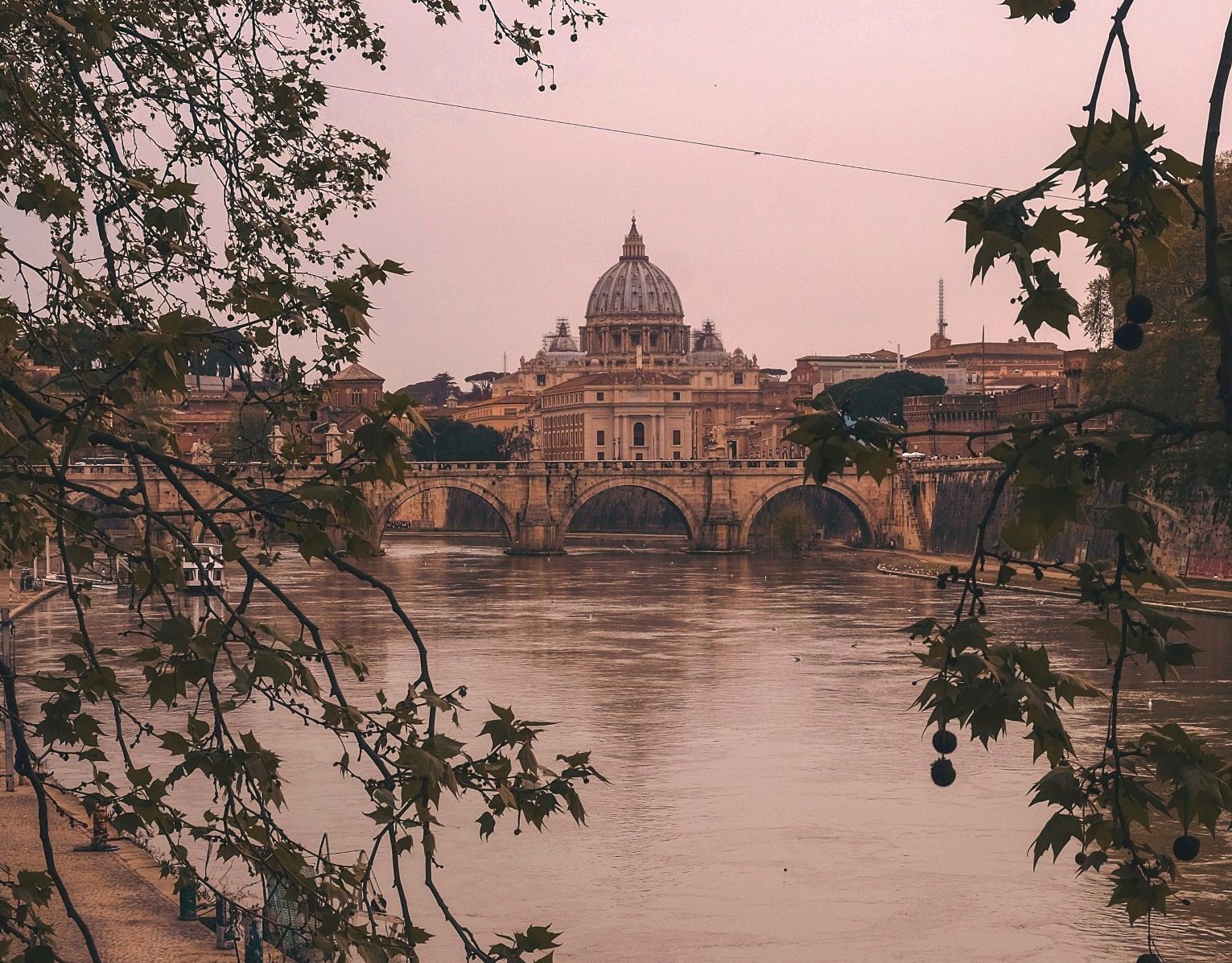 Roma Eventi Naturali di Cristina Gottardi